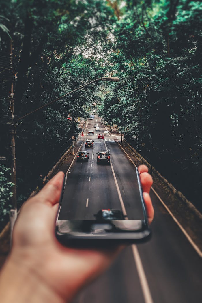 about-us-02 Creative blend of technology and nature with smartphone framing a bustling road through forest.